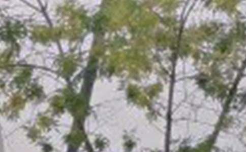 美好的早安微信祝福语摘录31条