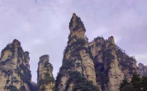 湖南张家界导游词