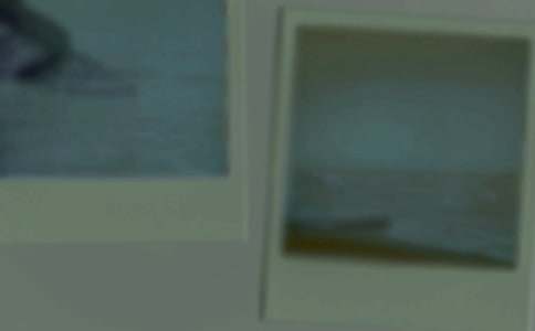 一张旧照片作文15篇[热]