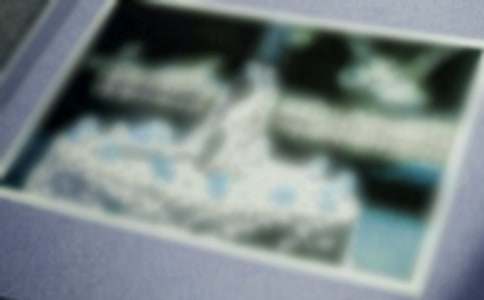 珍贵的照片作文(优选)