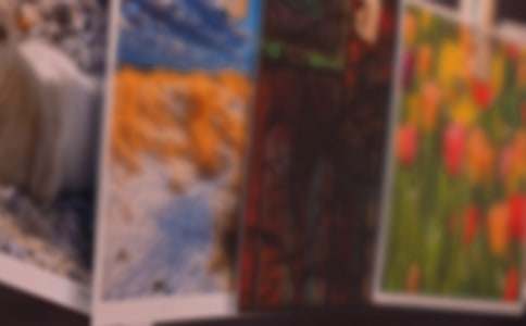 照片里的故事小学作文