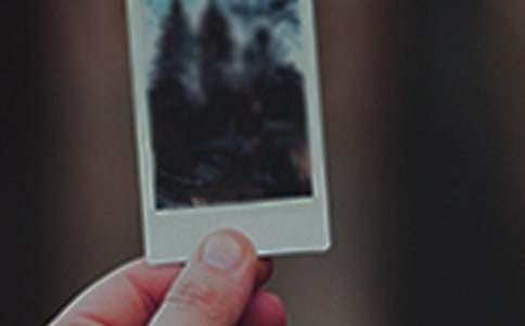 一张令人难忘的照片作文