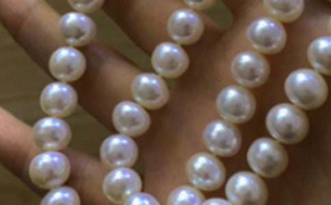 珍珠美人鱼作文