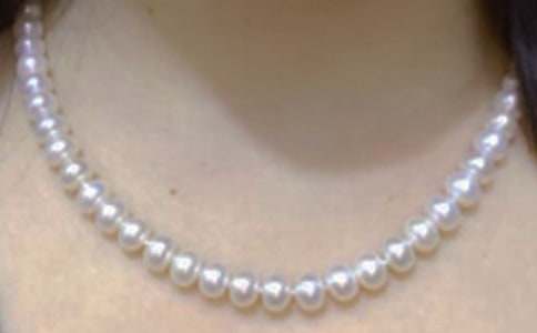 珍珠熊作文（实用）