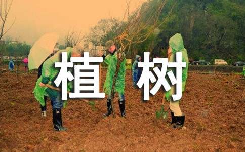 植树演讲稿