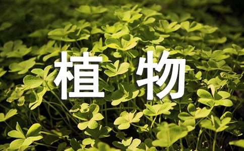 《植物的生殖》教案（通用10篇）