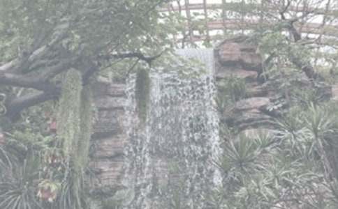 植物园小学生观后感