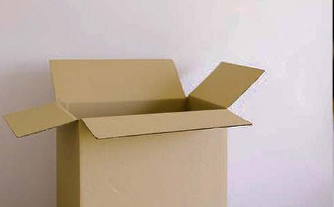 小班健康教案：小刺猬运纸箱(精)