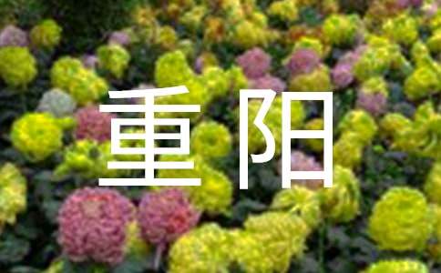 重阳花糕的心得体会
