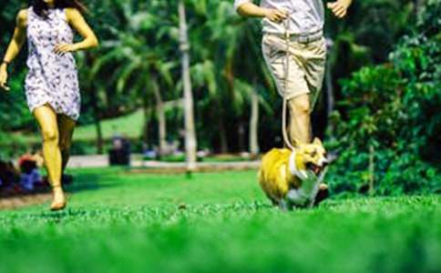 高中生活周末随笔