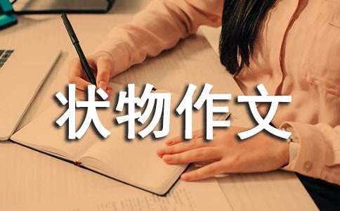 写状物作文600字八篇