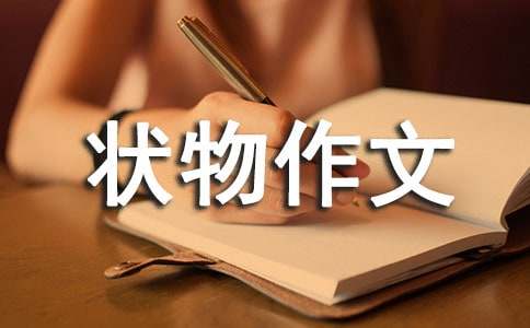 写状物作文15篇[推荐]