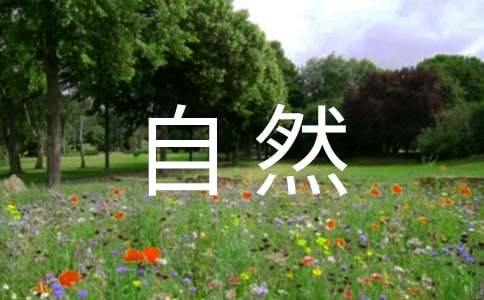 中班《自然角》教案