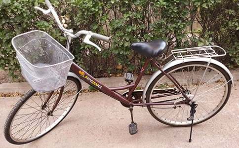 我学会了骑自行车的小学作文