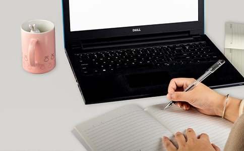 【精华】小鸡写作文合集七篇