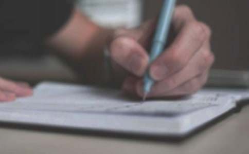 我喜欢的动物作文600字