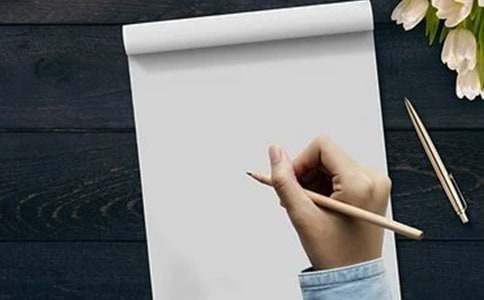 有关小鸡写作文合集9篇