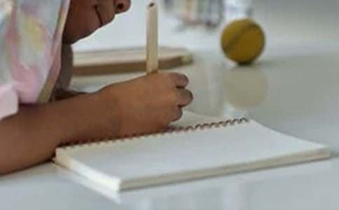 关于小鸡写作文汇总九篇