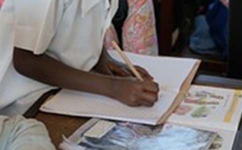 【热门】小鸡写作文汇总七篇