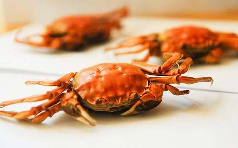 孤独的小螃蟹读后感（精选19篇）