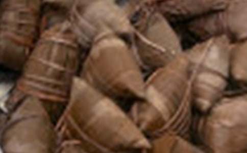 大班语言教案：粽子里的故事