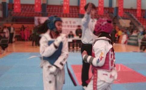 再会跆拳道作文