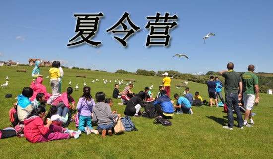 [精]夏令营新生欢迎词