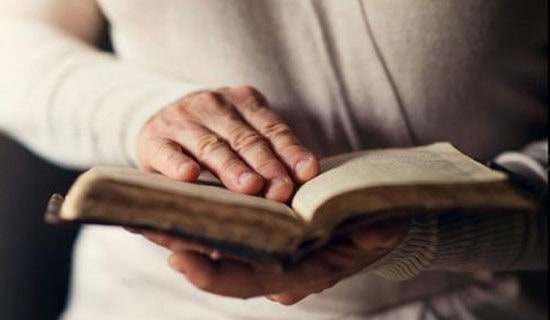 全息阅读教学心得体会（精选24篇）