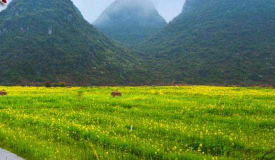 春游的建议书合集10篇